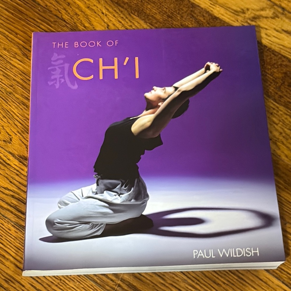 The Book of Ch'i by Paul Wildish